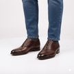 The Oxford Royale Premium Brown Leather Wingtip Brogue Dress Shoes for Men