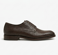 The Treviso Derby Lace ups - Handcrafted Navy Blue Leather Derby Shoes for Men
